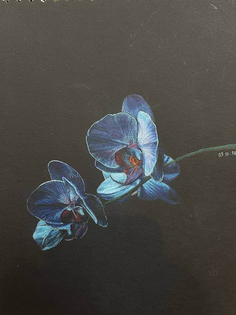 آموزش نقاشی سیاه قلم زینب پشته بان